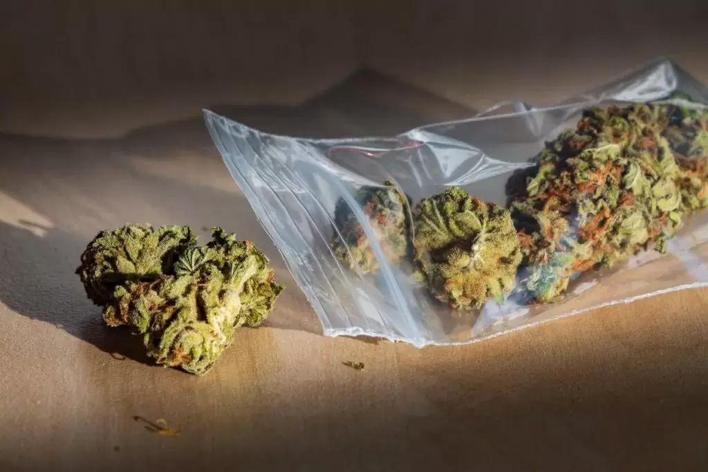 drogas lícitas e ilícitas e suas consequências